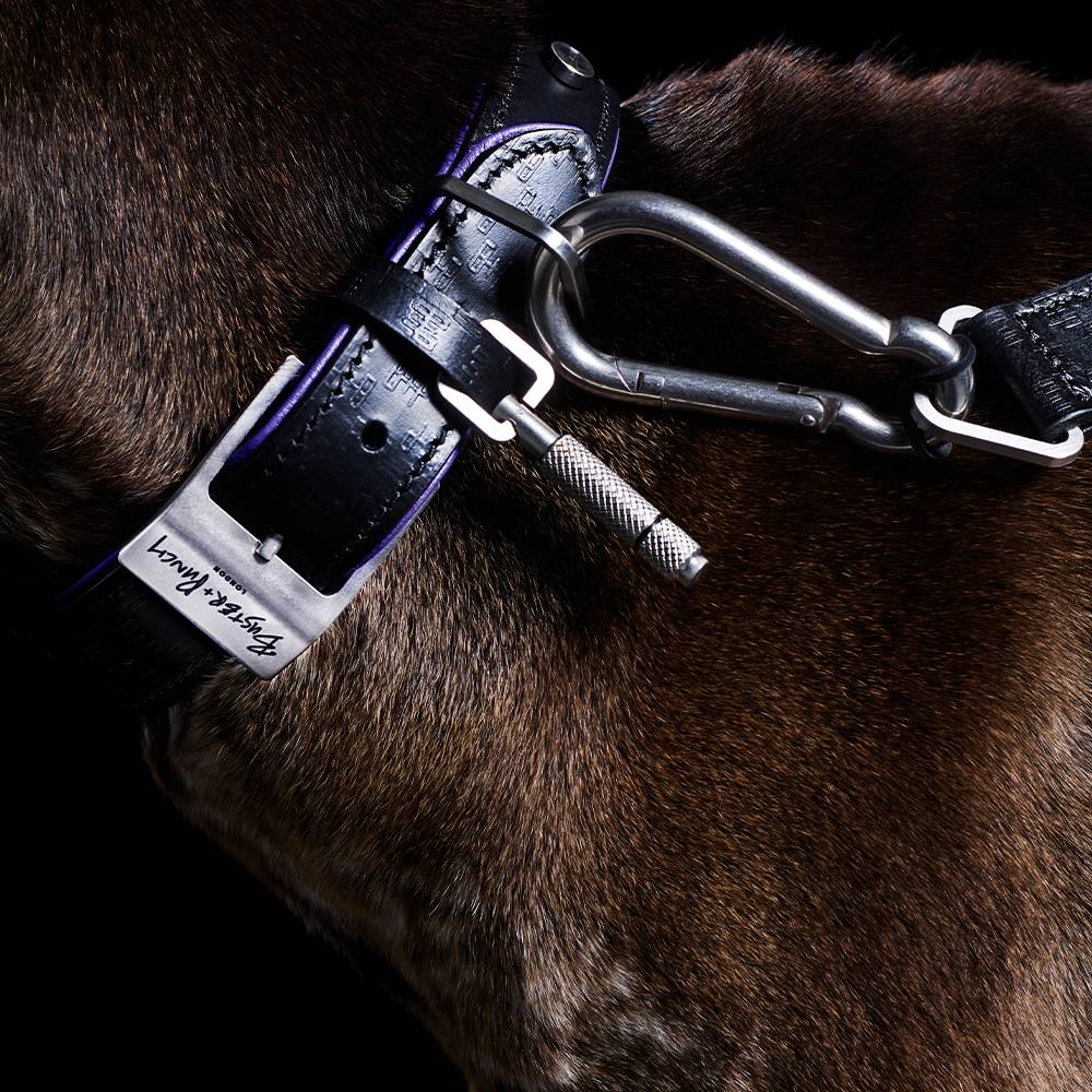 DOG COLLAR / CROSS / BLACK / PURPLE