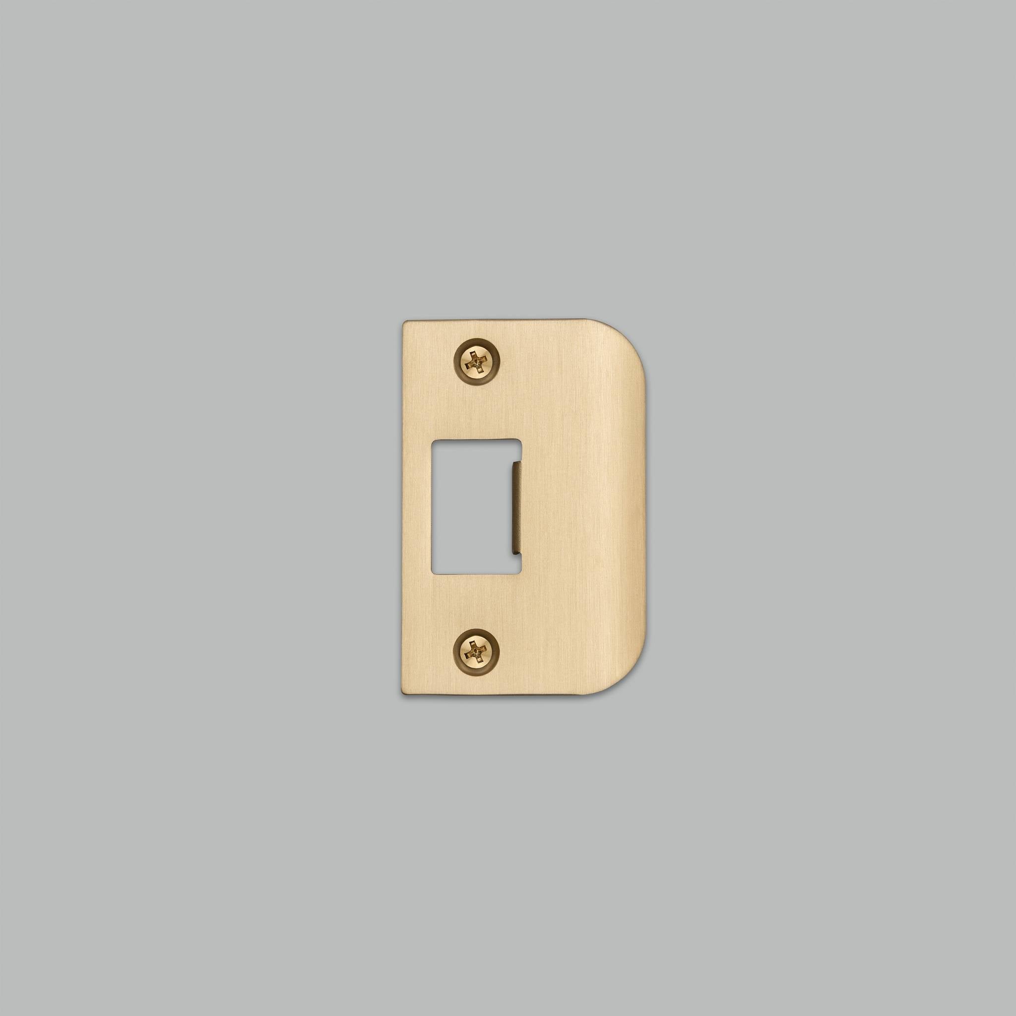 STRIKE PLATE KIT / D SHAPED / STANDARD DOOR