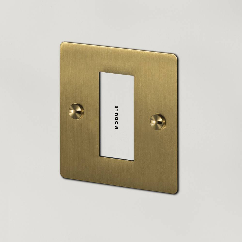 1G EURO PLATE / 1 MODULE