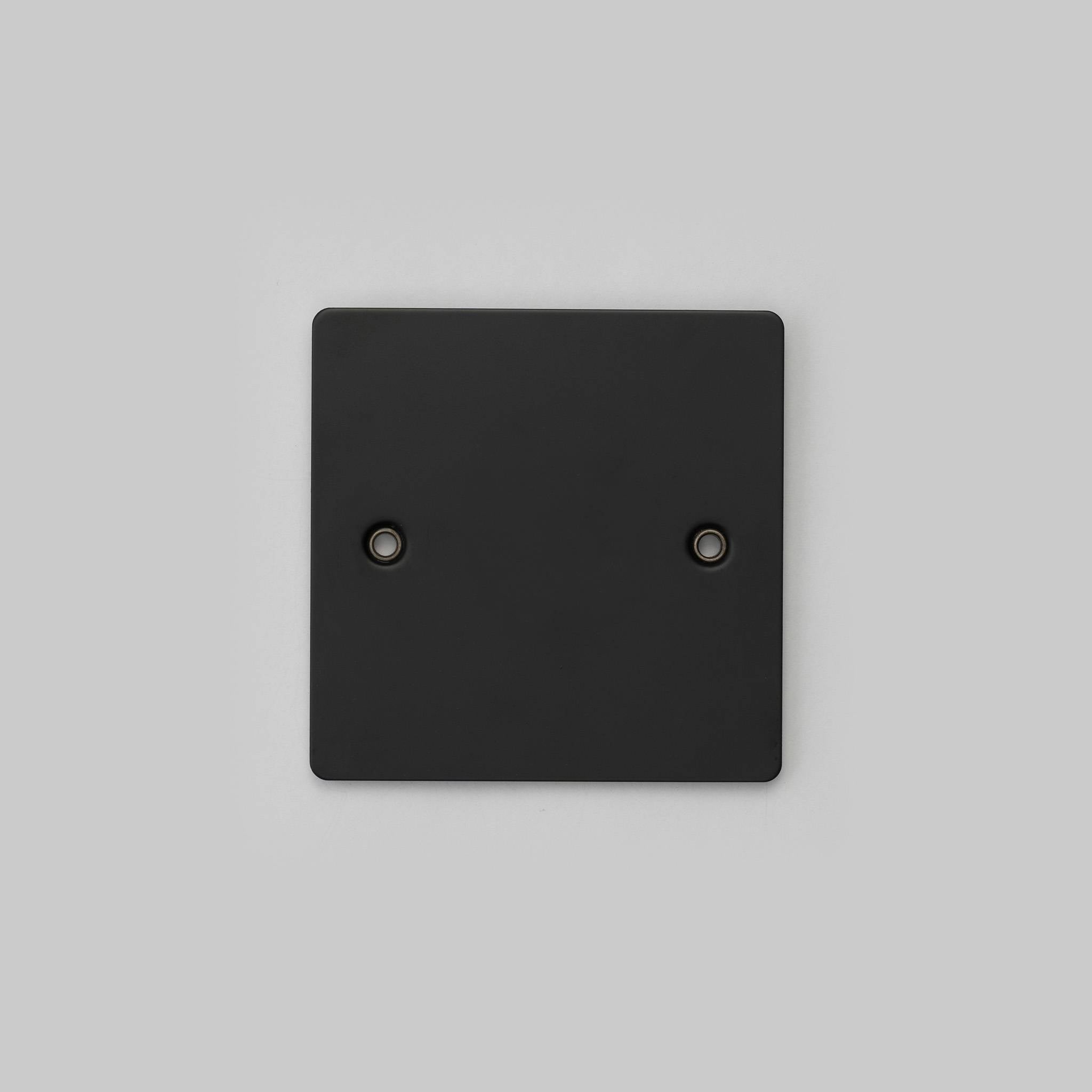 1G WALL PLATE / BLANK