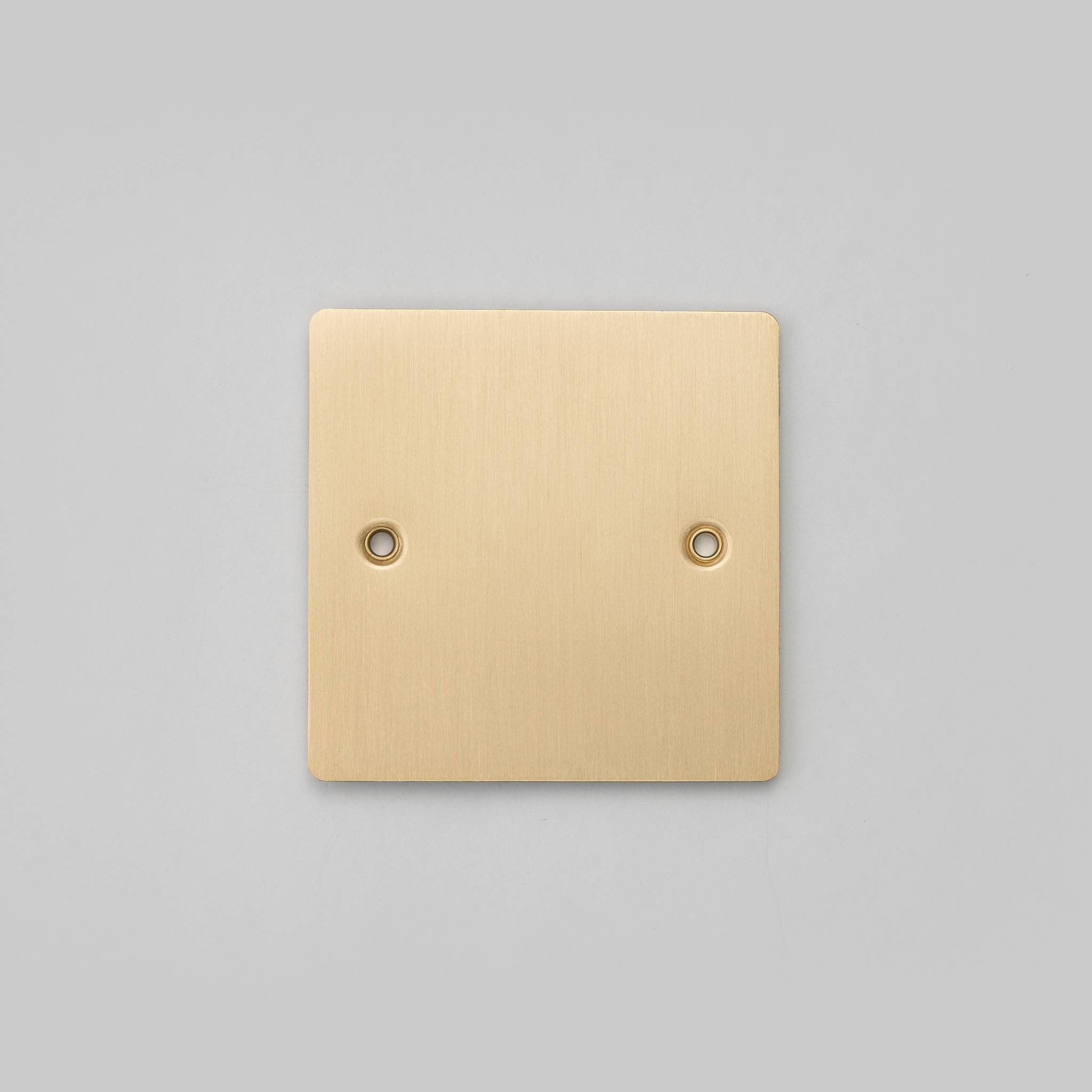 1G WALL PLATE / BLANK