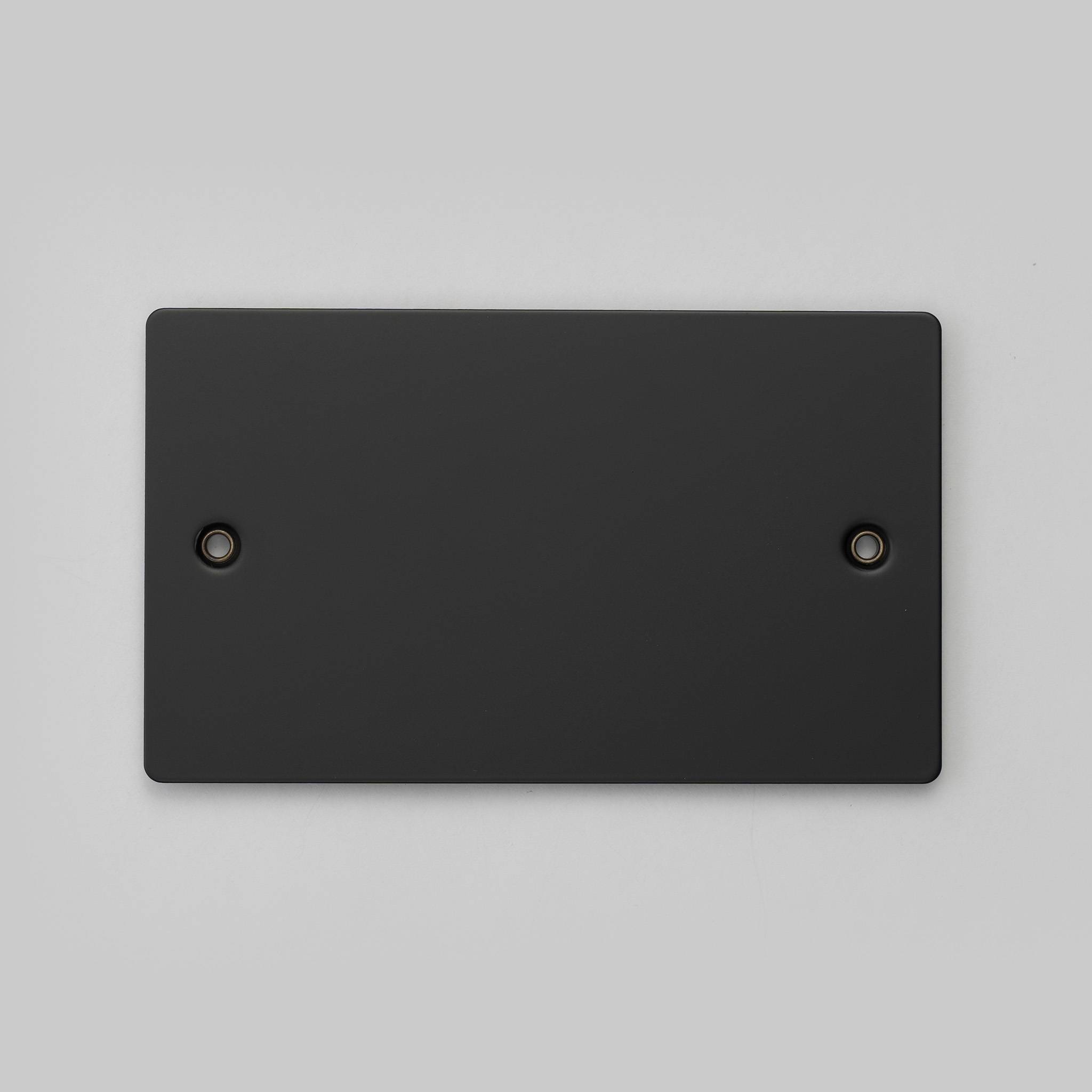2G WALL PLATE / BLANK